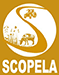 Scopela